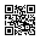 QR CODE 3481