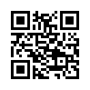 QR CODE 3838