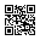 QR CODE 4509