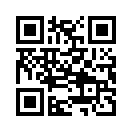 QR CODE 5295