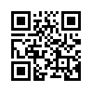 QR CODE 31