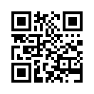 QR CODE 133