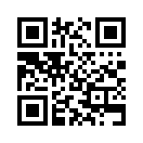 QR CODE 181