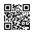 QR CODE 216