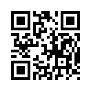QR CODE 28