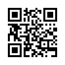 QR CODE 397