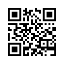 QR CODE 415