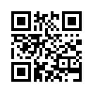 QR CODE 529