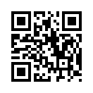 QR CODE 539