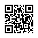 QR CODE 566