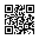 QR CODE 597
