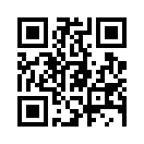 QR CODE 677