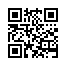 QR CODE 735