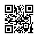 QR CODE 743