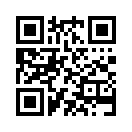 QR CODE 745