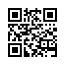 QR CODE 766