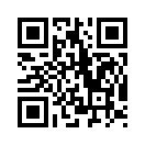 QR CODE 771