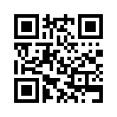 QR CODE 790
