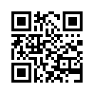 QR CODE 813