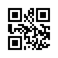 QR CODE 31