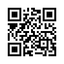 QR CODE 31
