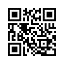 QR CODE 31