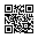 QR CODE 33
