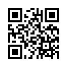 QR CODE 161