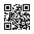 QR CODE 229