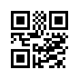 QR CODE 133