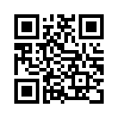 QR CODE 2313
