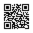 QR CODE 31