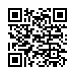 QR CODE 31