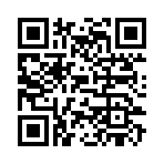 QR CODE 82