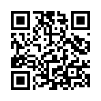 QR CODE 85