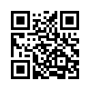 QR CODE 31