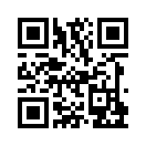 QR CODE 110