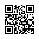 QR CODE 113
