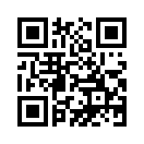 QR CODE 133
