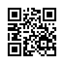 QR CODE 42