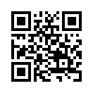 QR CODE 110