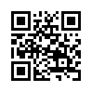 QR CODE 125