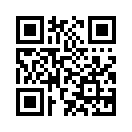 QR CODE 133