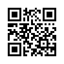 QR CODE 305