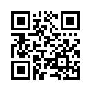 QR CODE 31