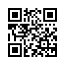 QR CODE 317