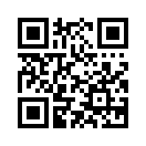 QR CODE 318