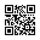 QR CODE 328