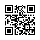 QR CODE 336