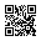 QR CODE 338